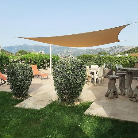 Orasi Sartene Gite Casa Fiurita エクステリア 写真