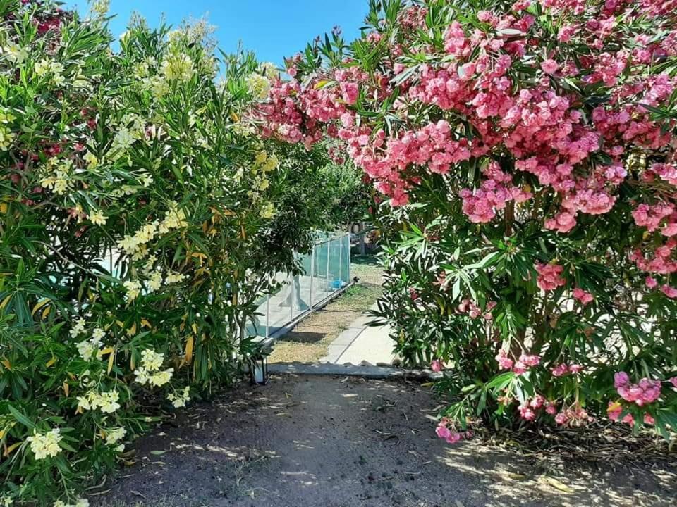 Orasi Sartene Gite Casa Fiurita エクステリア 写真